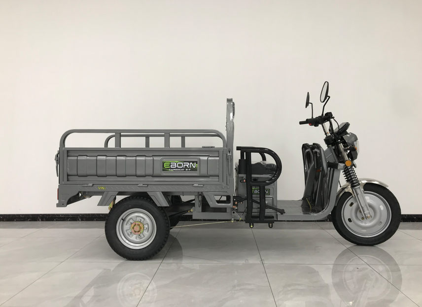 Eborn Cargo Cat 2