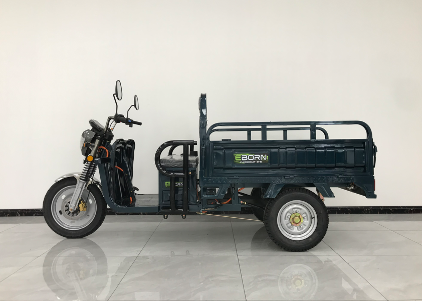 Eborn Cargo Cat 2
