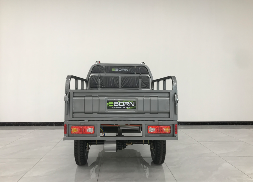 Eborn Cargo Cat 2