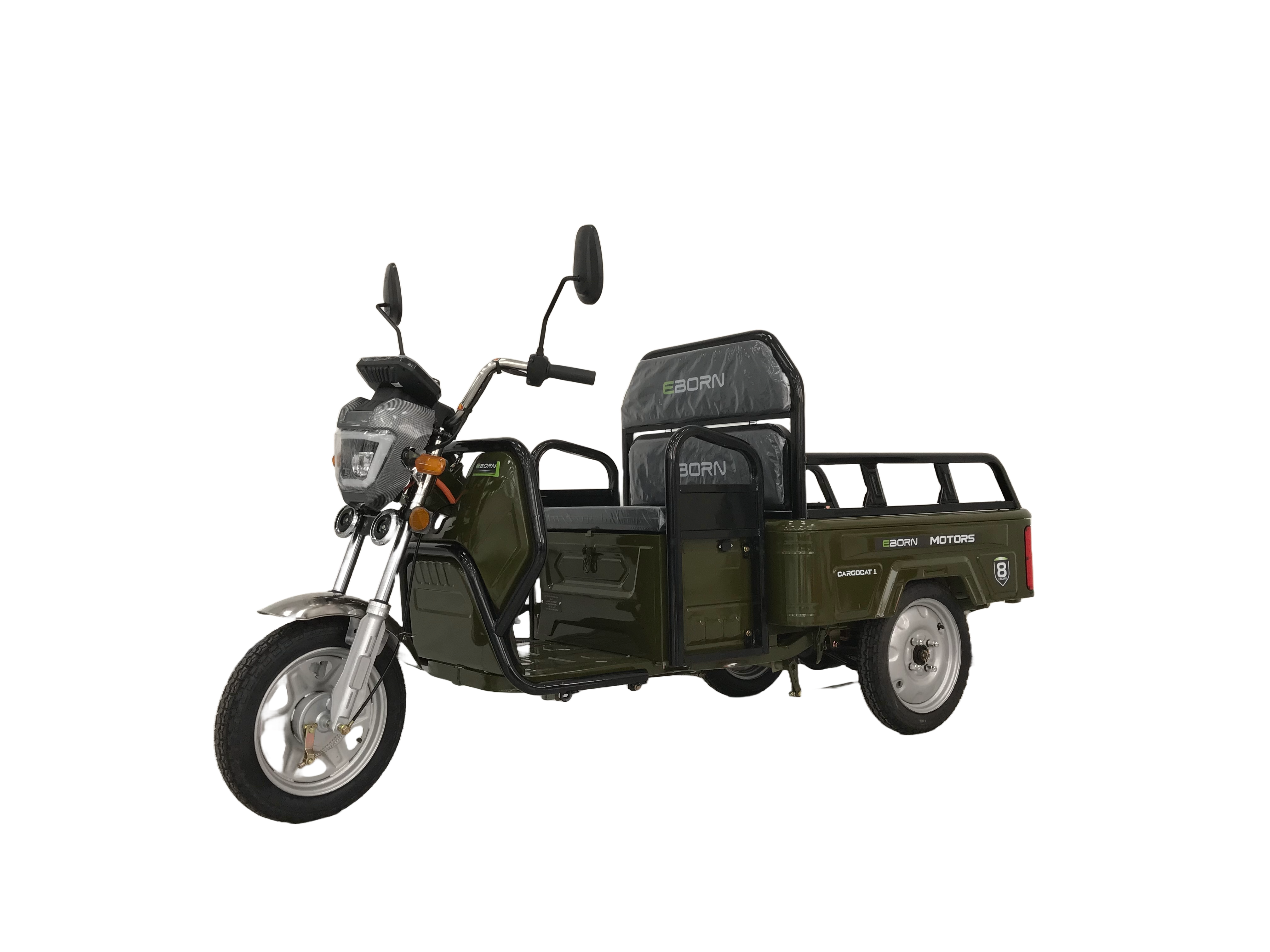 Eborn Cargo Cat 1