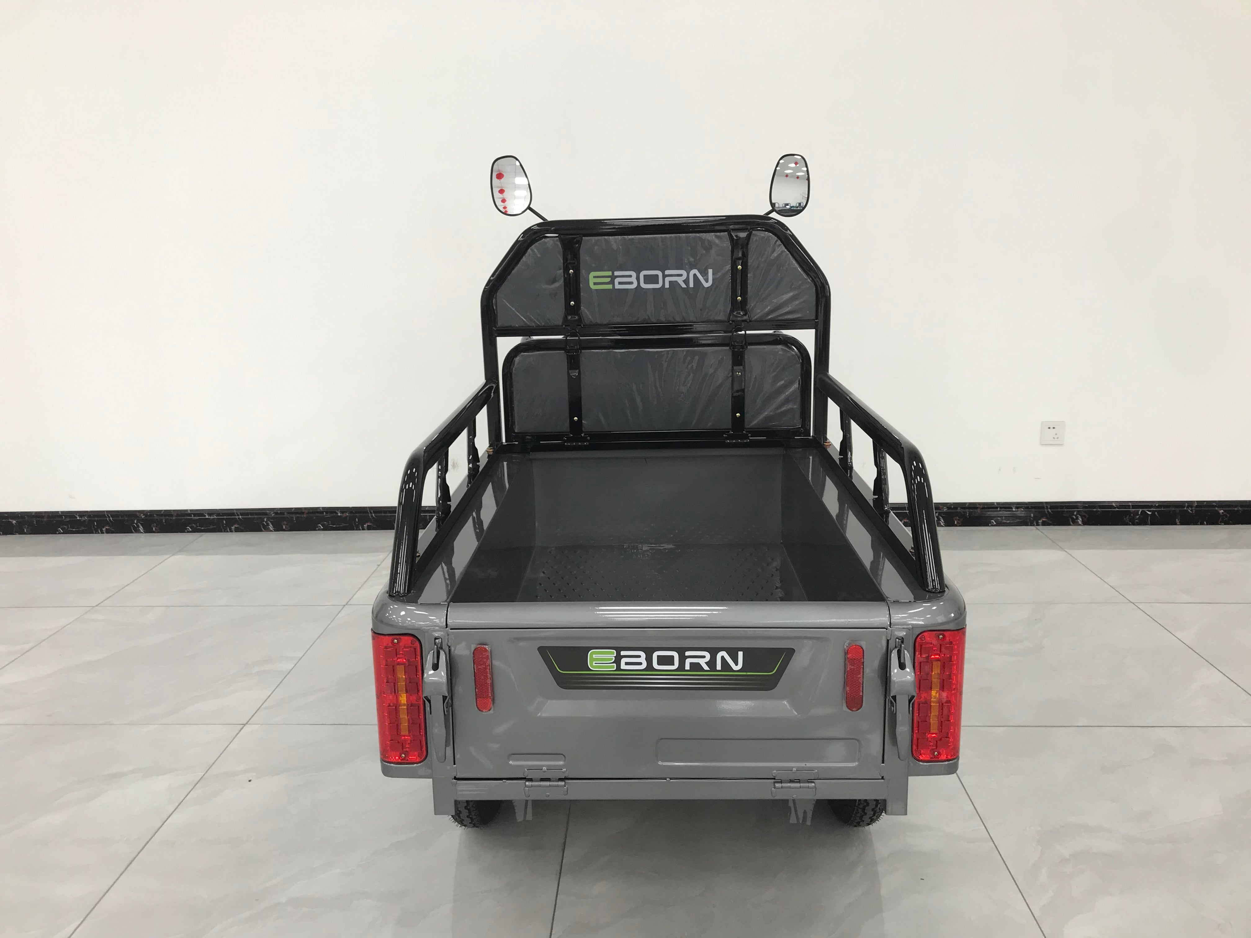 Eborn Cargo Cat 1