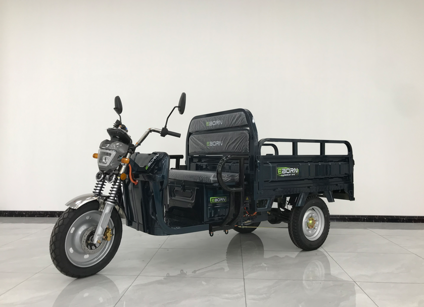 Eborn Cargo Cat 2