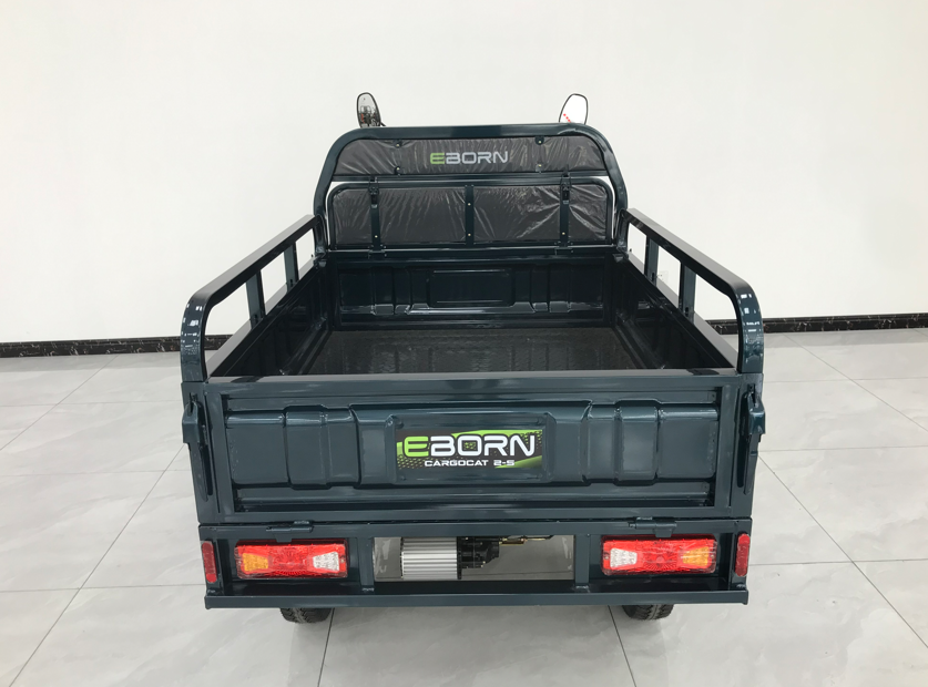 Eborn Cargo Cat 2