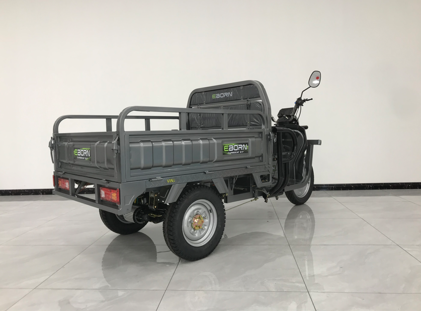 Eborn Cargo Cat 2